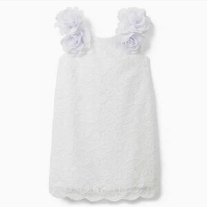 Janie and Jack Lace Dress ( size 2T )